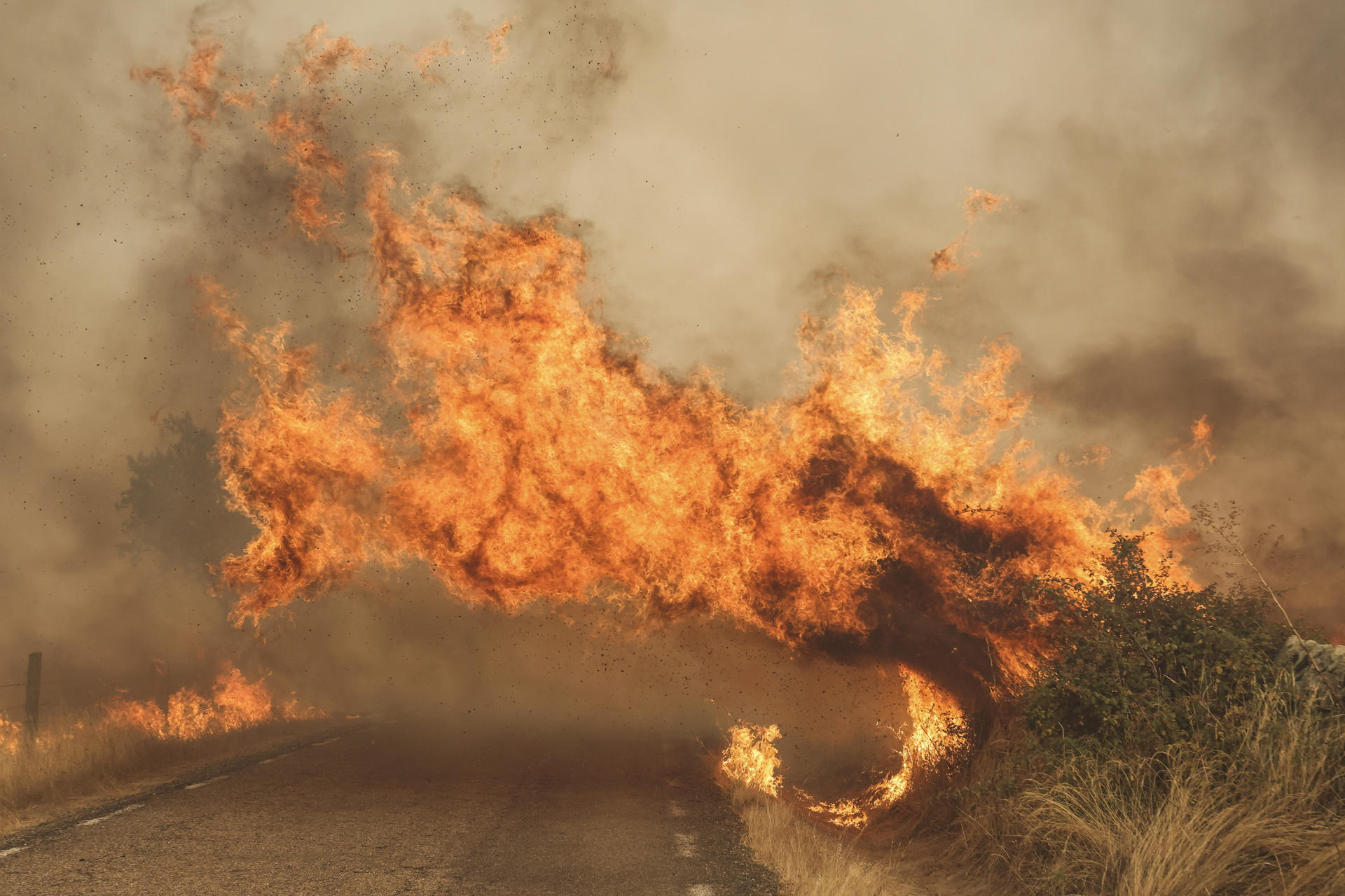 FOTODELDÍA - CIPÉREZ (SALAMANCA), 15/08/2025.- El fuego cruza una carretera por el incendio forestal este viernes, en las proximidades de Cipérez (Salamanca). EFE/JM GARCIA