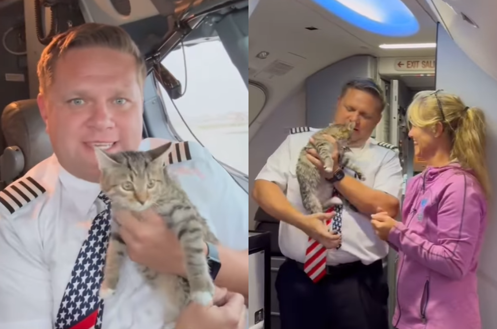 Piloto rescata y adopta a uno de los animales que transportaba tras los huracanes
