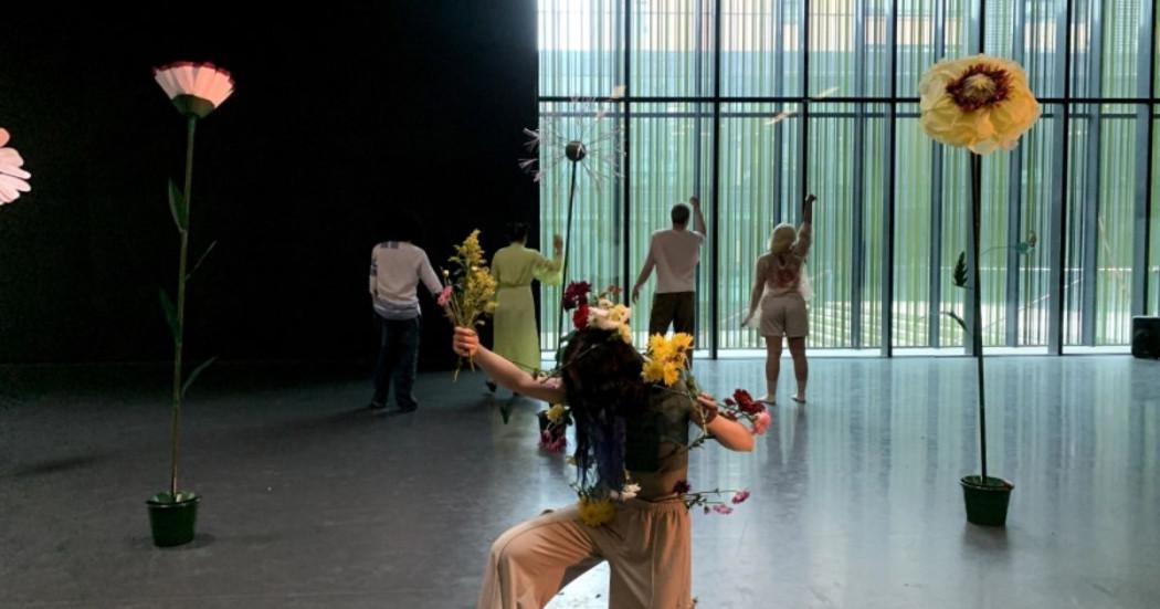 Asista a la visita bailada y gratuita al Museo Colonial de Bogotá