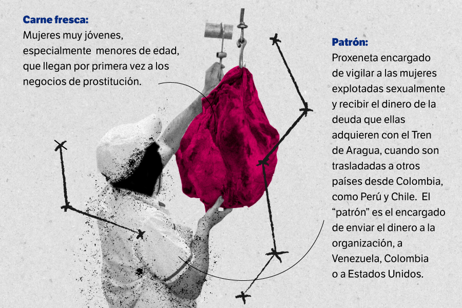 En la reportería con víctimas de explotación sexual del Tren de Aragua y la investigación de este crimen esta alianza periodística encontró un argot criminal que detallamos en esta galería.