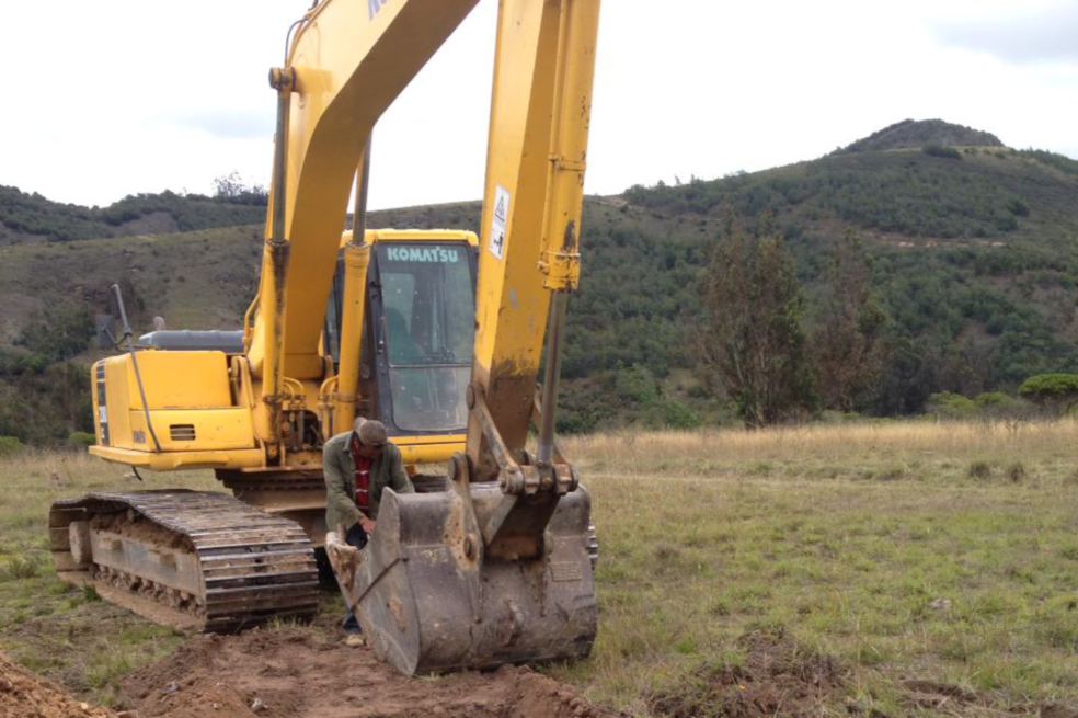 En la zona de explotación se encontraron especies vedadas. / Cortesía
