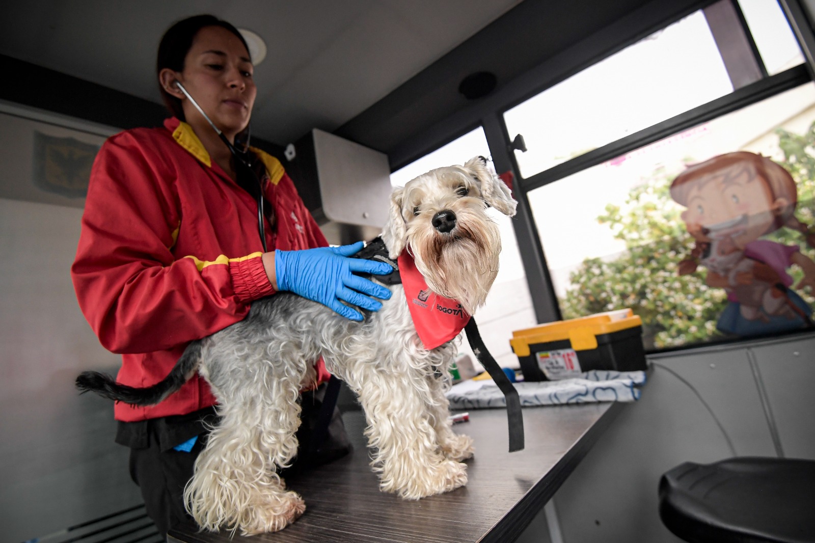 El bus que recorre el sur de Bogotá atendiendo a los animales en condición de calle