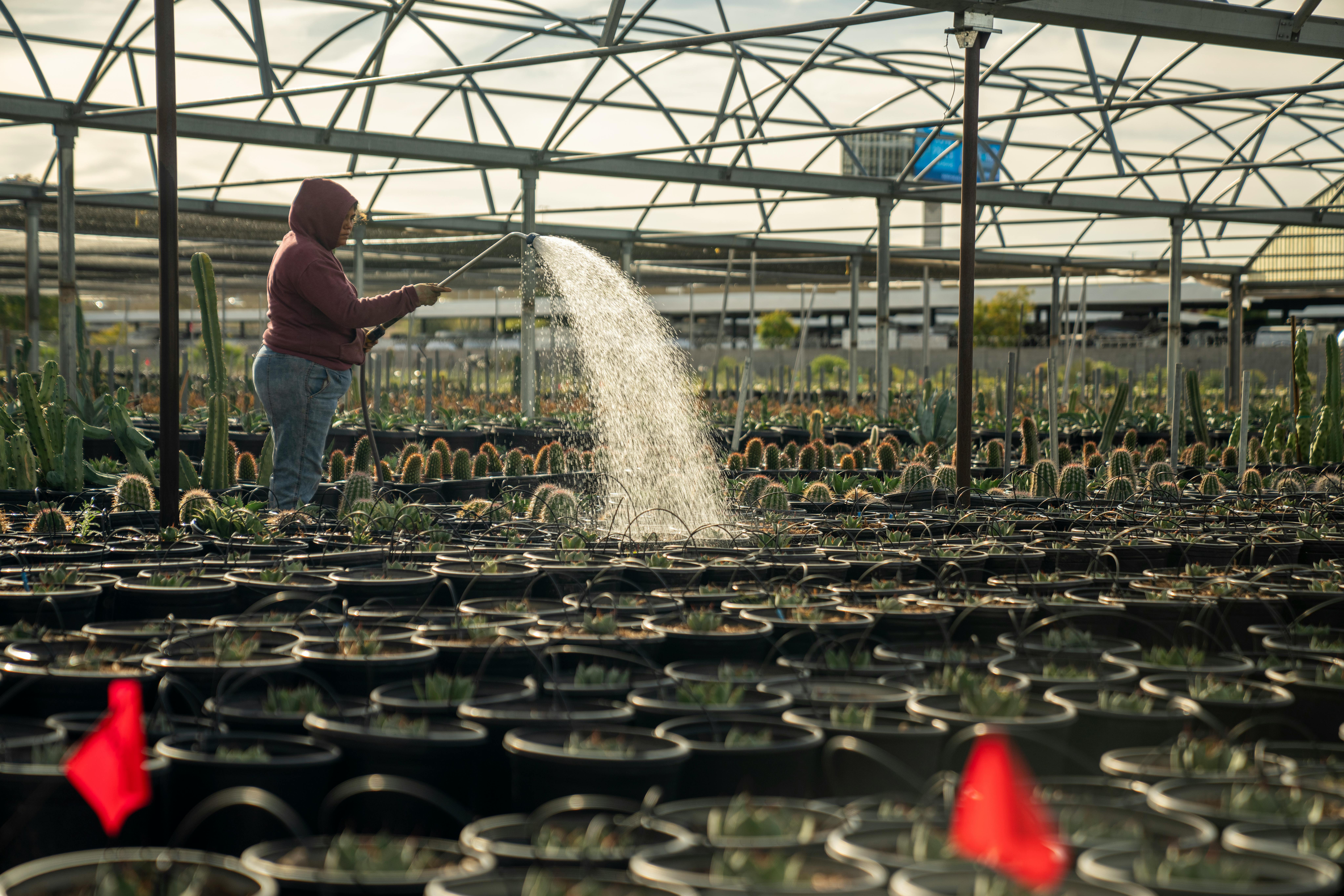 ¿De dónde sacaremos el agua para seguir cultivando?