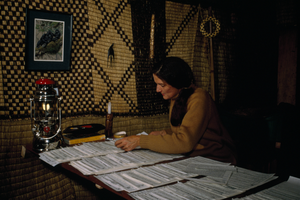 Dian Fossey: muerte en la niebla