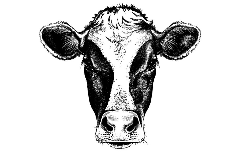 La aftosa no daña la feria Agroexpo