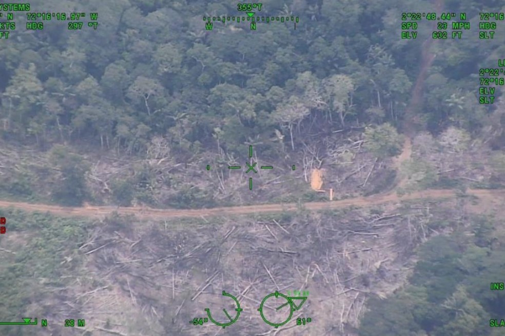 La Amazonia se sigue concentrando el 62% de la tala en el país.