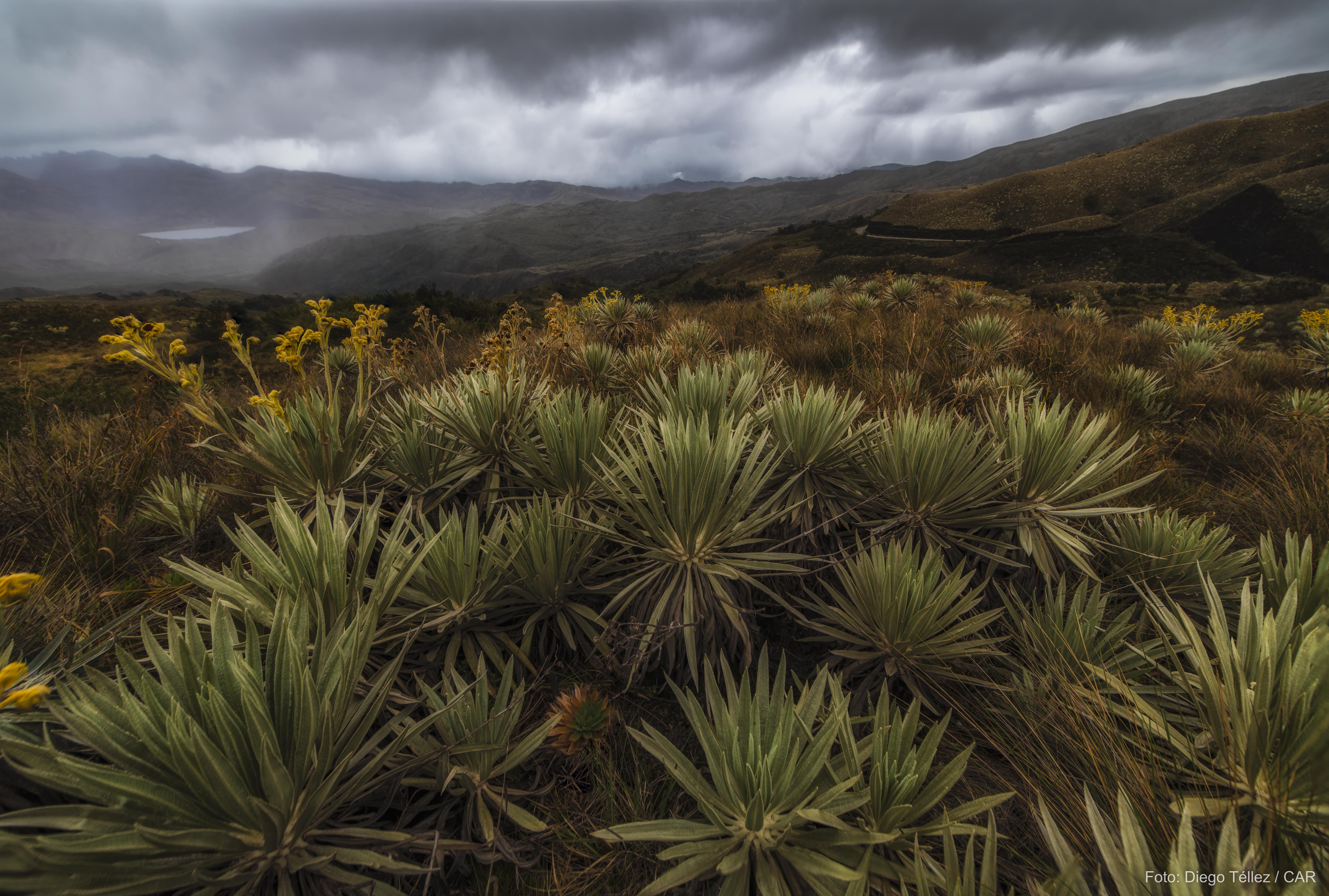 Agua al límite: la paradoja de la abundancia y la escasez en  Colombia