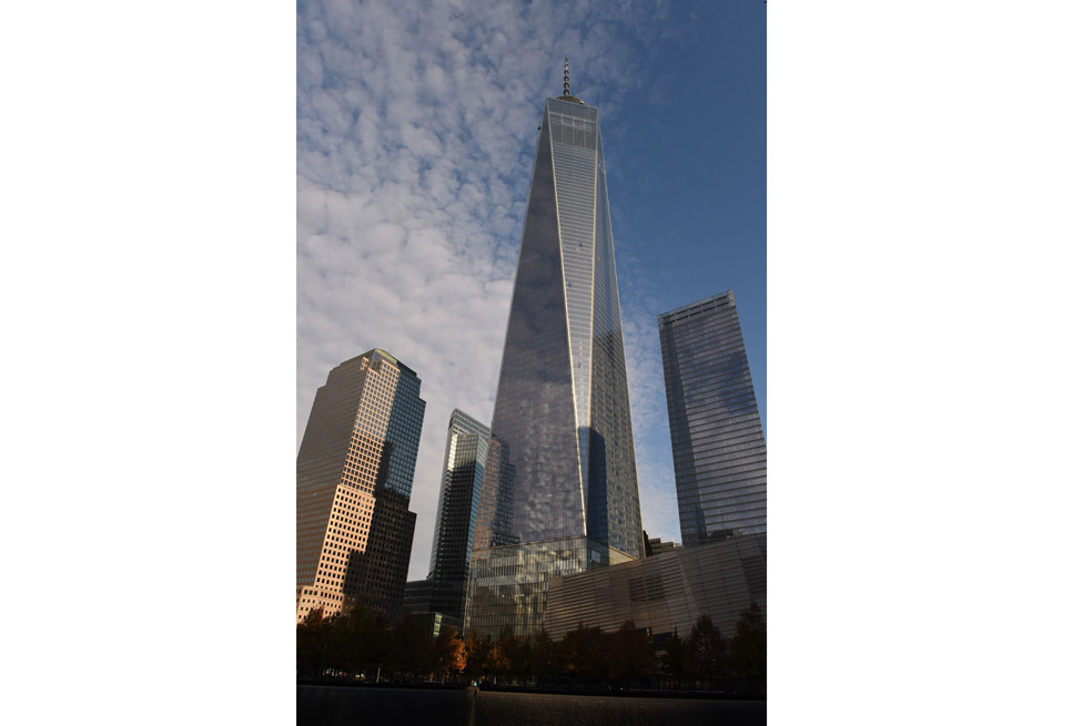 En Nueva York viven dos millones de ratas