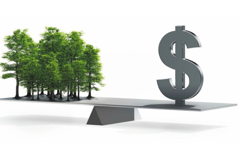 Bioeconomía en Colombia: ¿qué es y cuánto aporta al crecimiento económico?