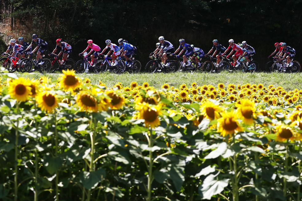 Los competidores del Tour de Francia en la etapa 19.