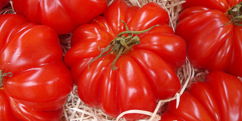 Siete beneficios del jugo de tomate