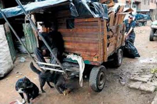 Distrito adelantaría nuevo censo a carreteros en Bogotá