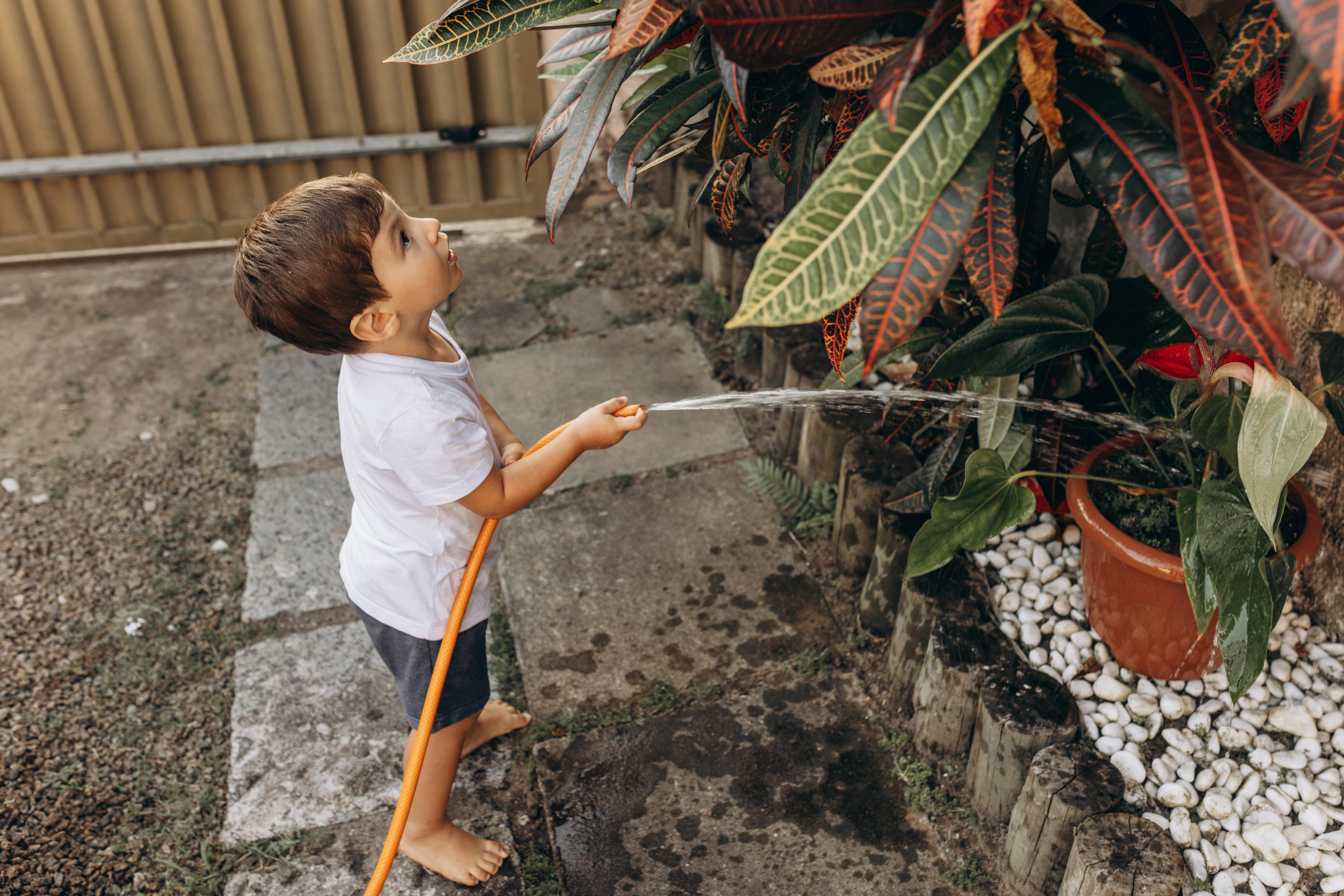 Plantas tóxicas para bebés: ¿qué hacer si mi hijo las come?