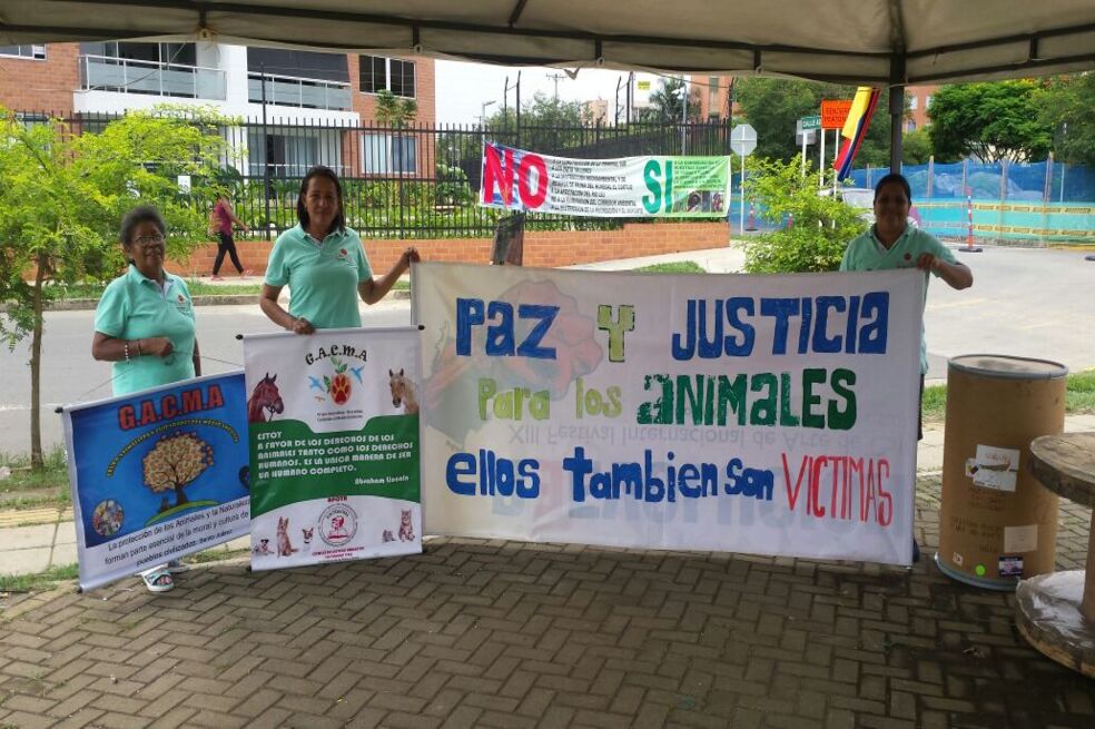 Animales abusados sexualmente