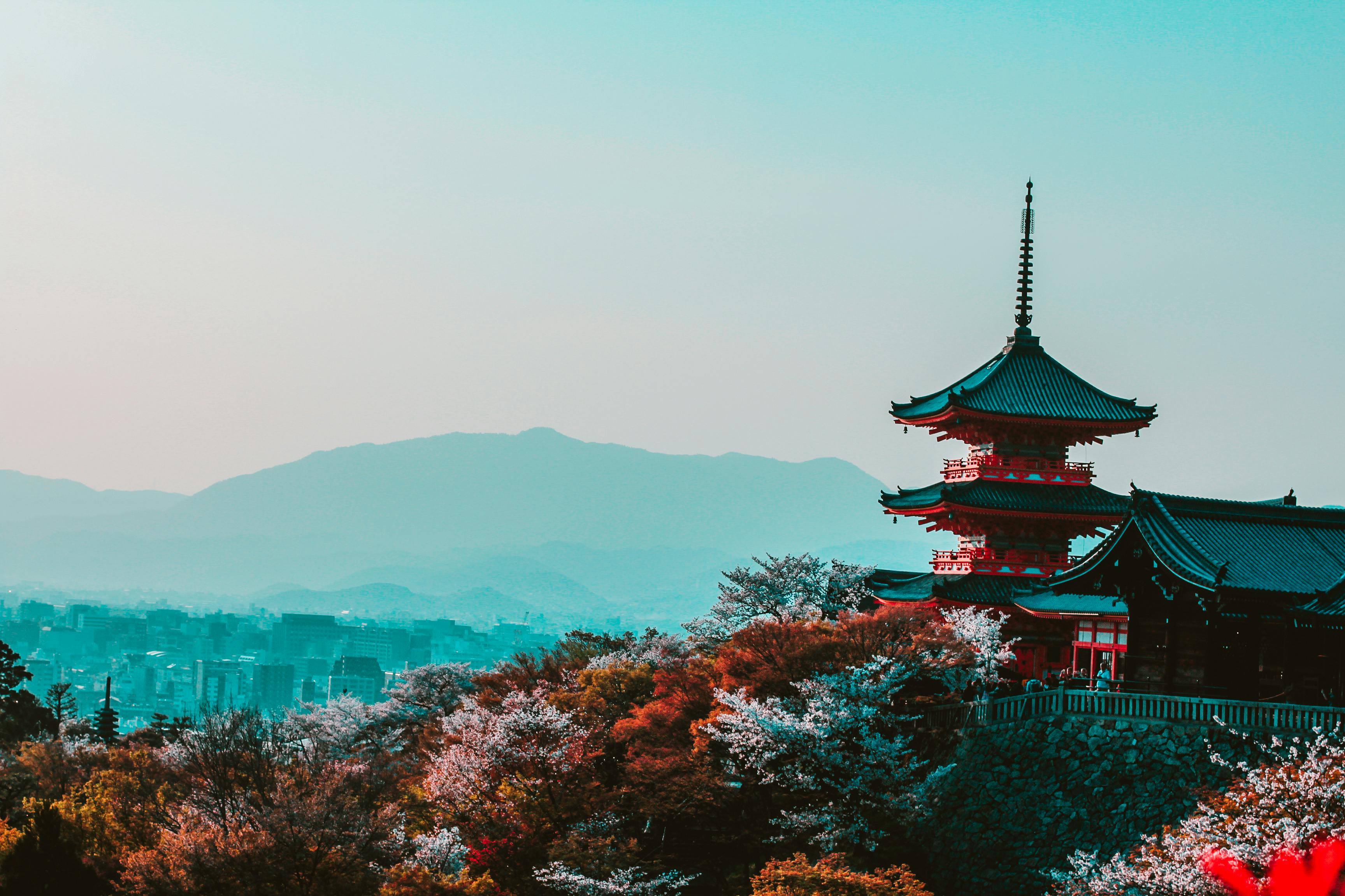 Cosas que debe saber antes de viajar a Japón: costos, tradiciones y normas