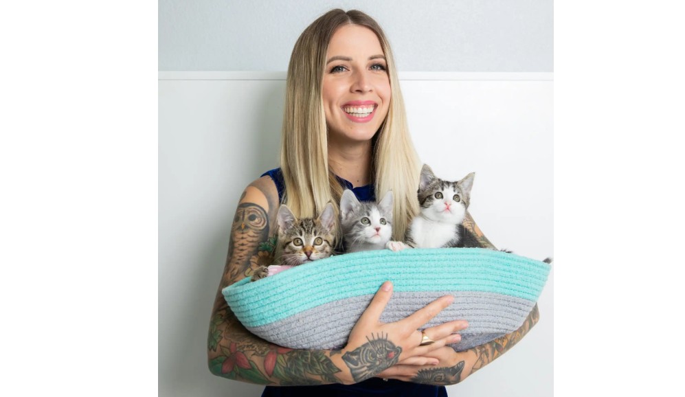 Así puede ayudar a miles de gatitos sin hogar desde su casa