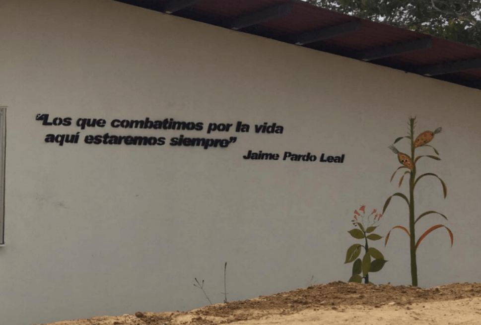 La lucha por la vida: dos años construyendo un espacio para la paz en Icononzo
