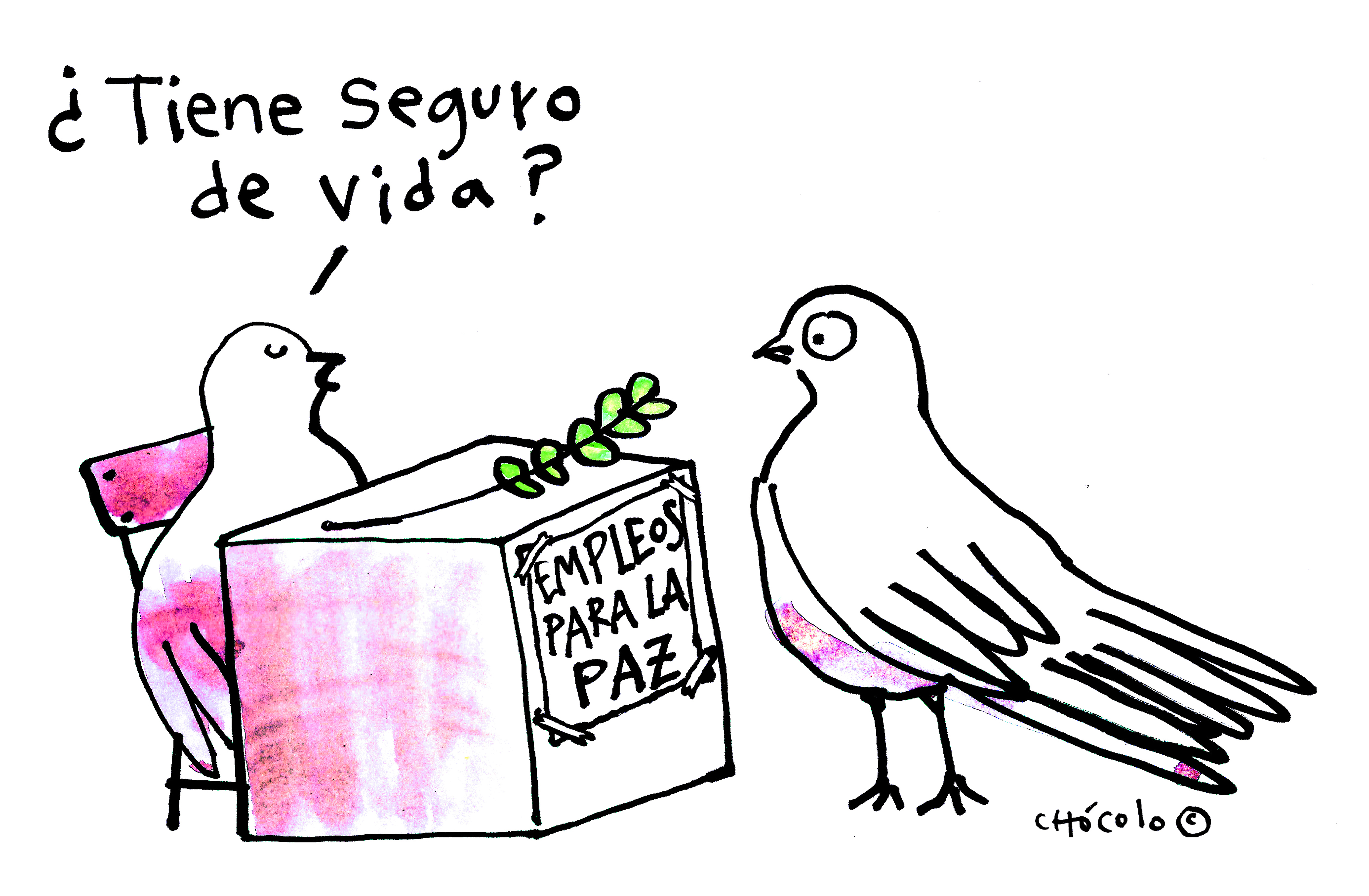Chócolo