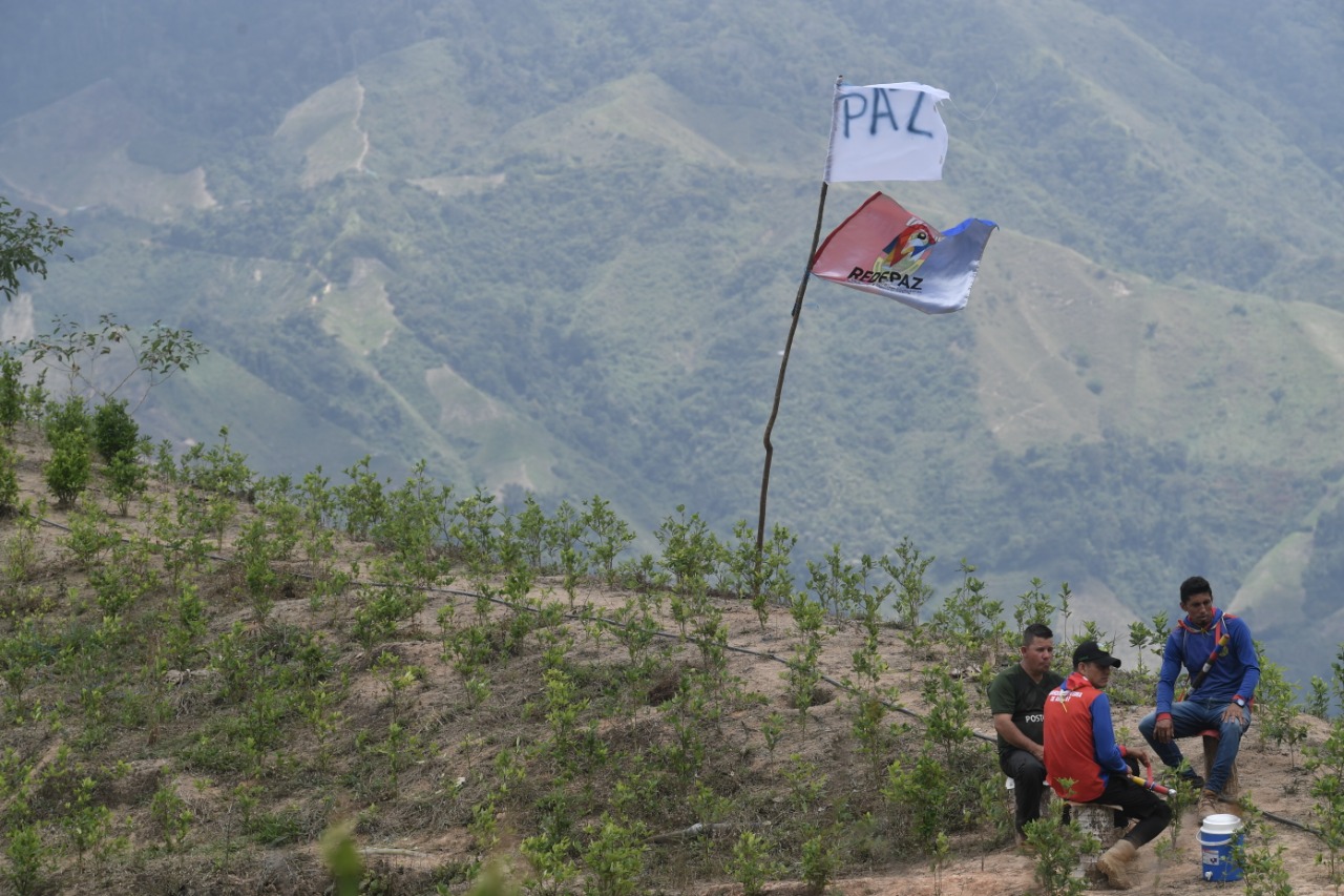 El asentamiento humanitario fue convocado por las juntas del corregimiento San José del Tarra, de Hacarí, apoyados por el Comité de Integración Social del Catatumbo (Cisca) y la Asociación por la Unidad Campesina del Catatumbo (Asuncat).