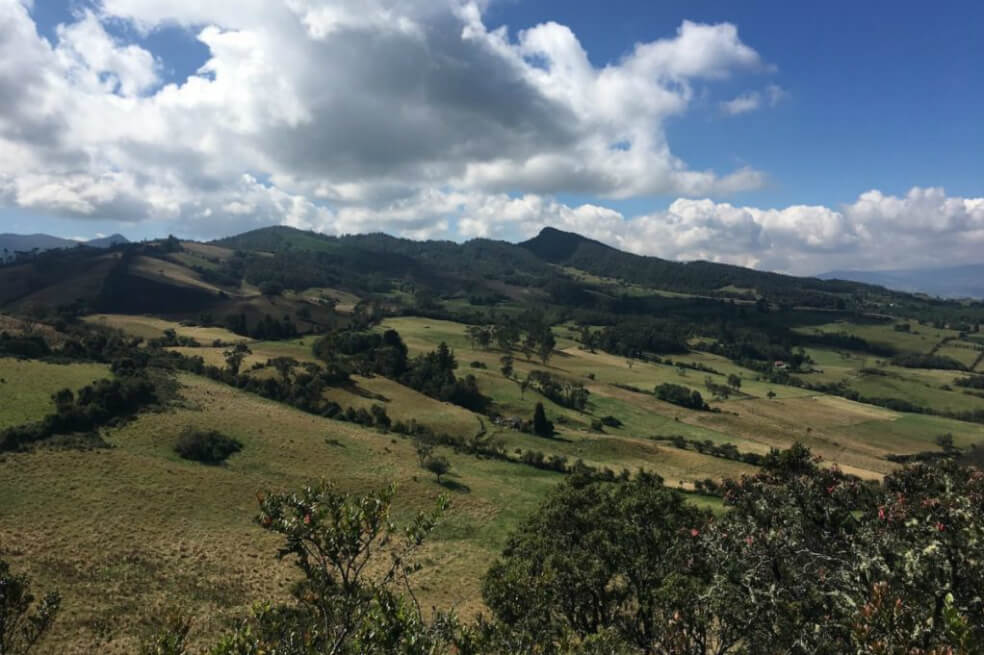 La Reserva Biológica Encenillo está ubicada en la vereda La Trinidad del municipio de Guasca, en el departamento de Cundinamarca.