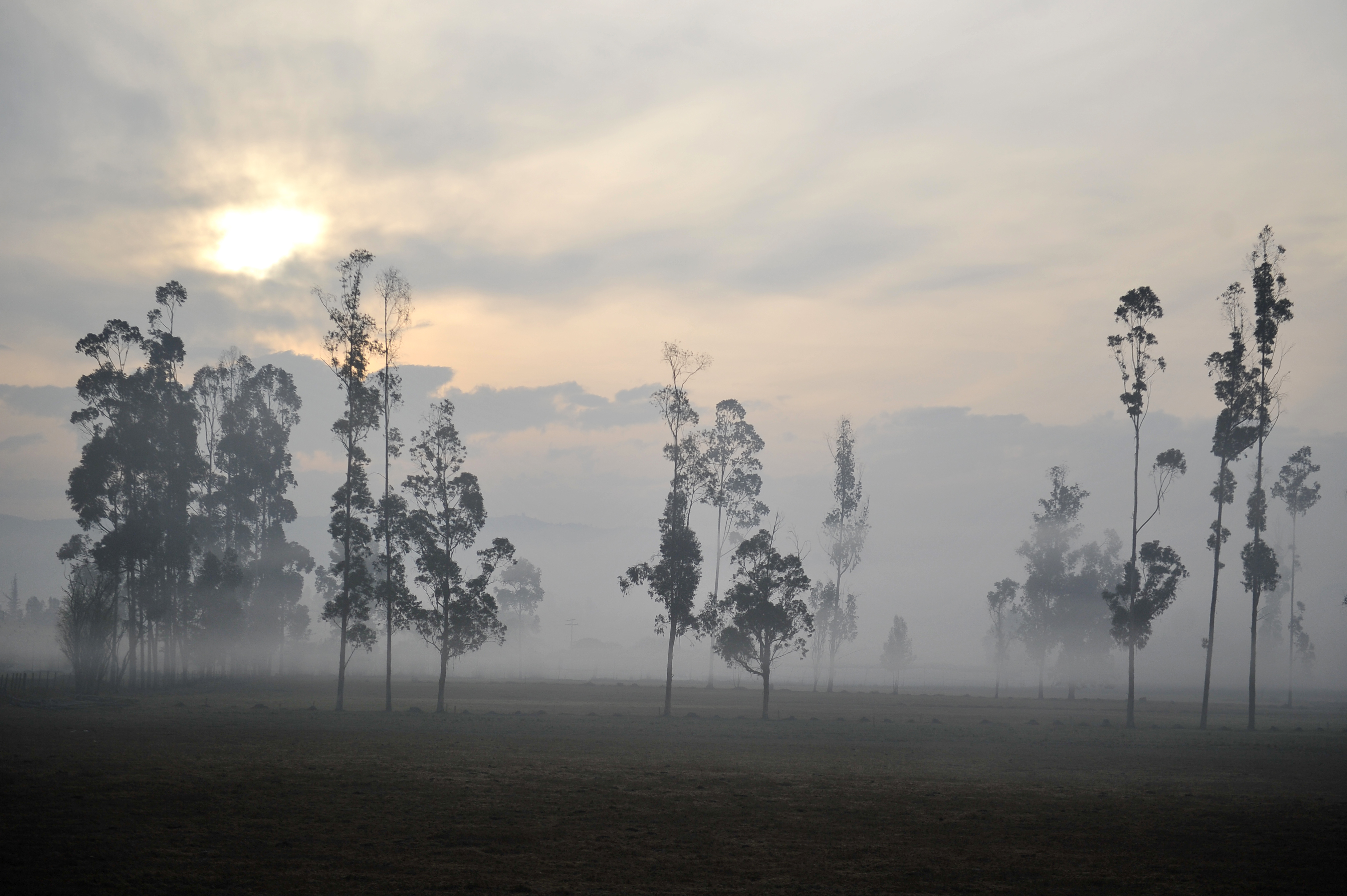 Procuraduría solicitó más tiempo de comentarios a polémico proyecto de Minambiente