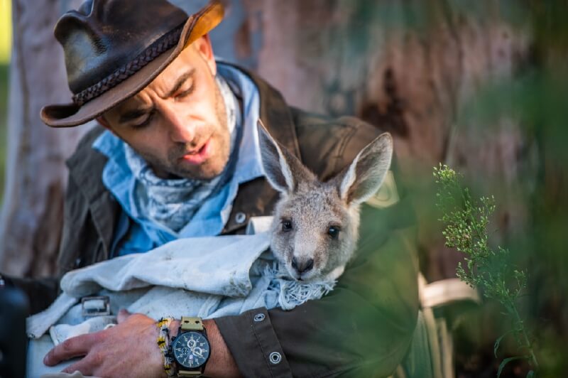 Las aventuras de Coyote Peterson en Animal Planet