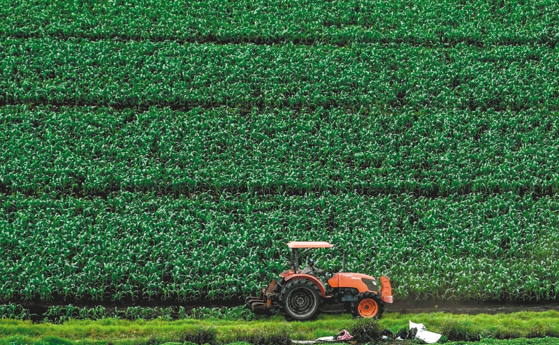 El estudio explica que los metales tóxicos presentes en los suelos provienen principalmente de dos fuentes: una natural, conocida como geogénica, y otra causada por la actividad humana, denominada como antropogénica. 