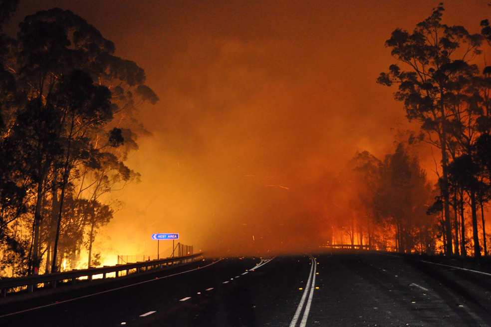 Incendios forestales en Australia, a nivel de «catástrofe»