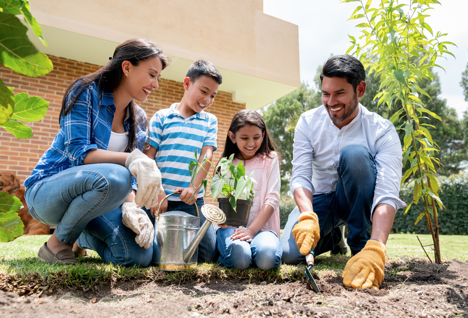Compromiso ambiental