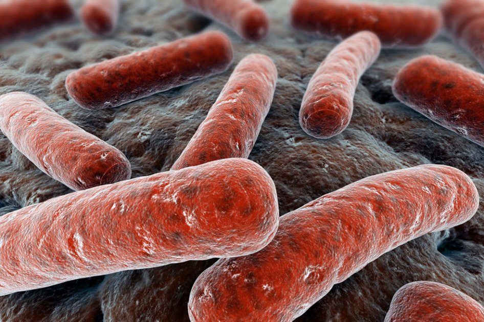 Cepas resistentes de tuberculosis se expanden por el mundo