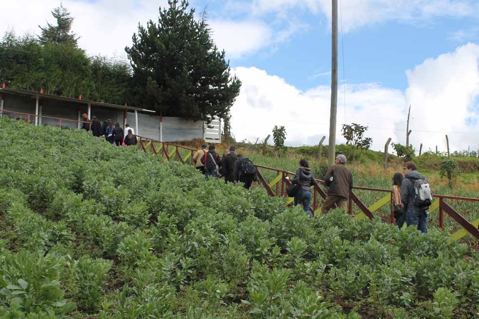 La Requilina, una historia de resistencia