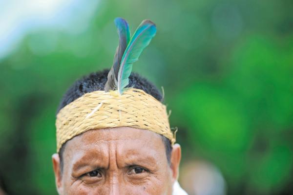 Los procesos de paz de los barís
