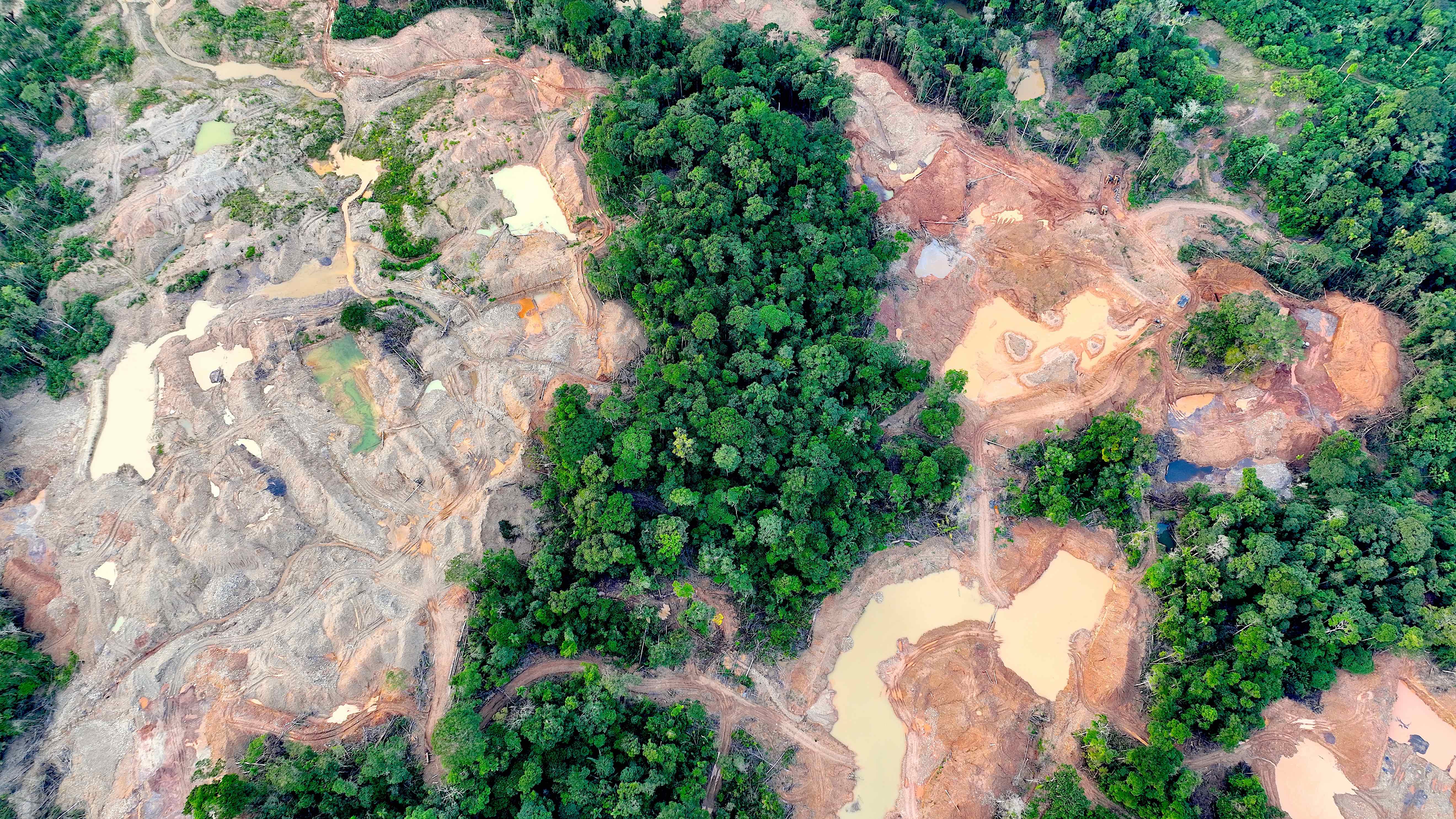 Deforestación río Napo