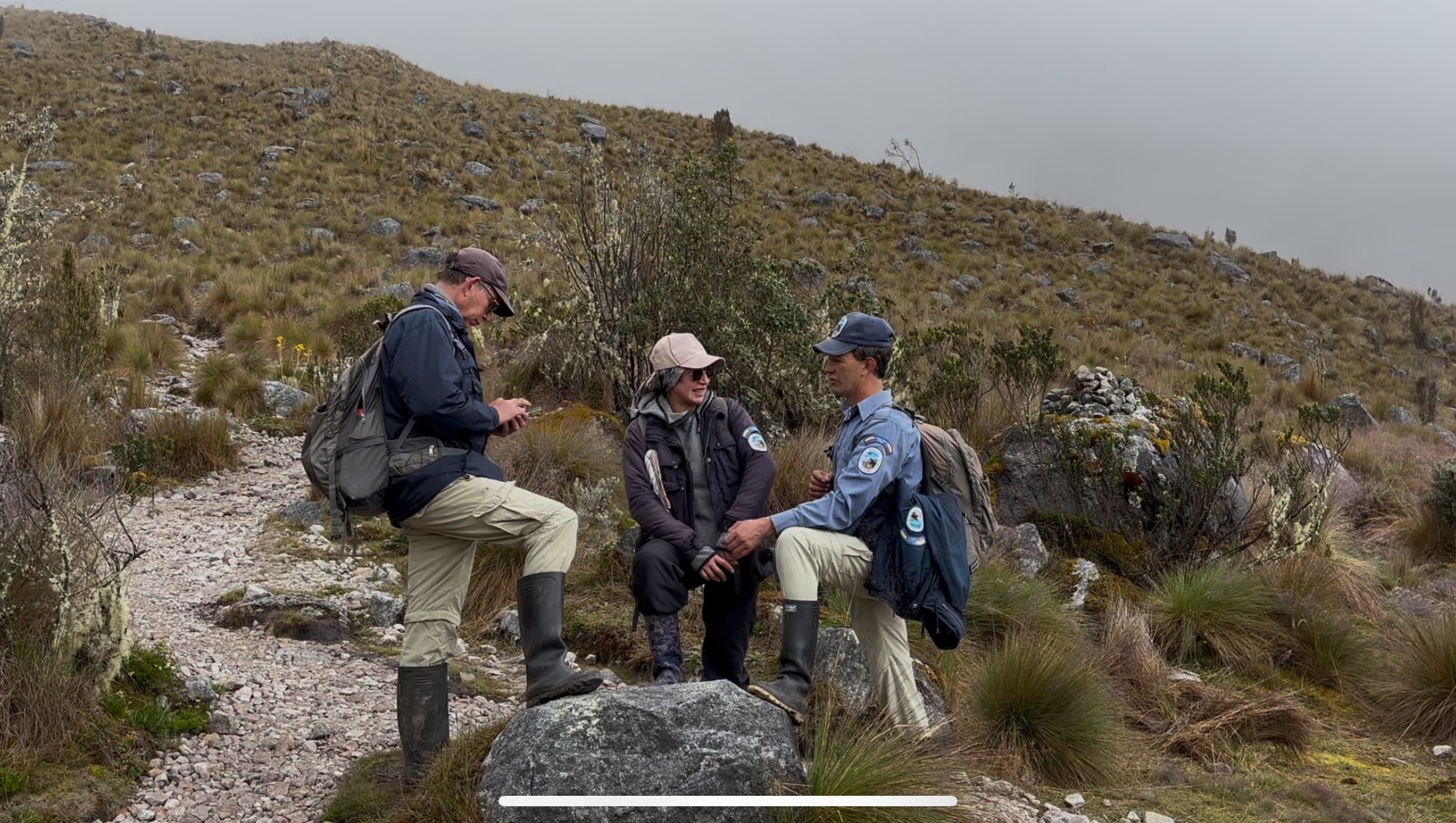 Cuatro nevados de Colombia, del más fácil al más desafiante para recorrer