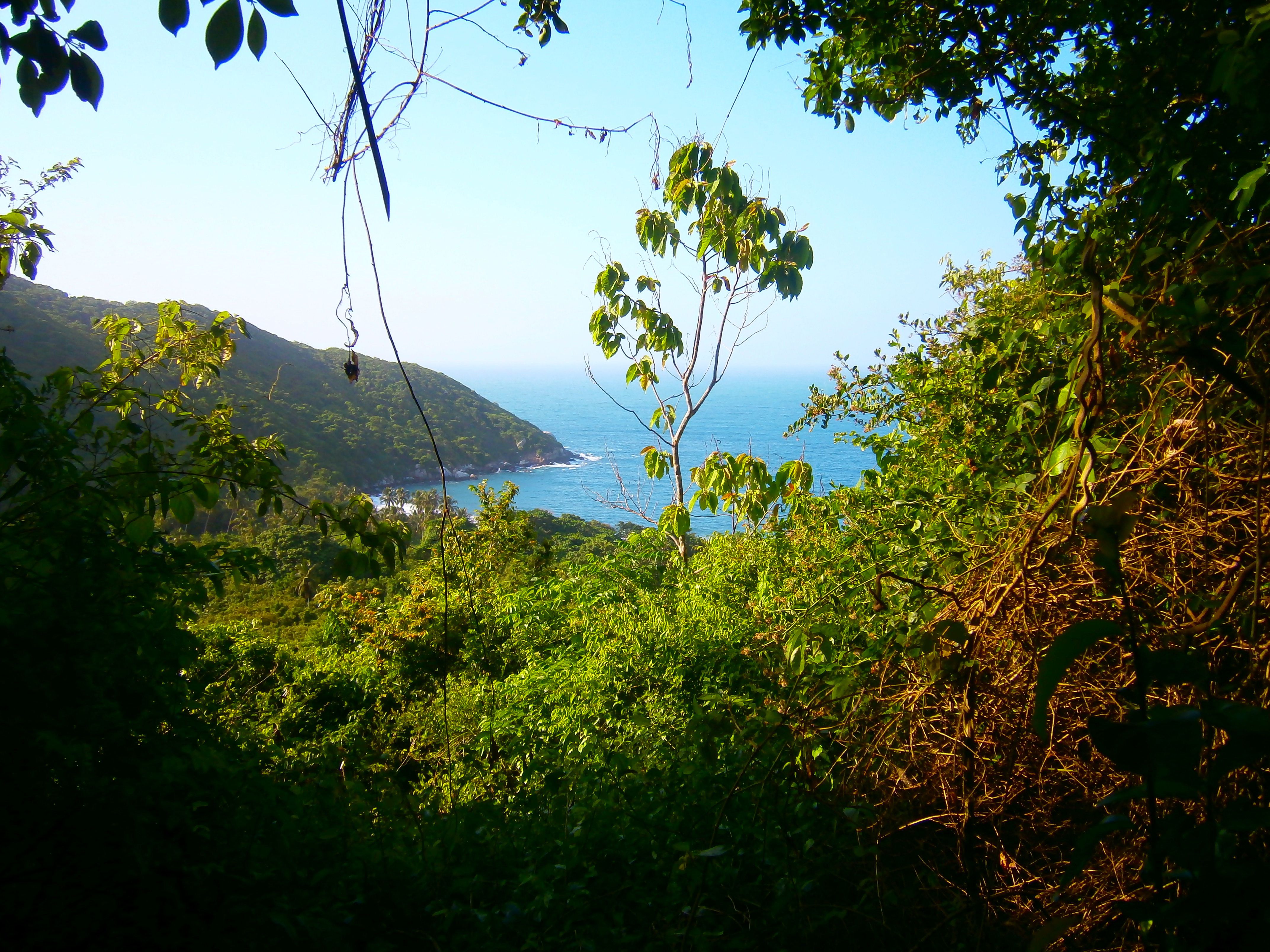 El Parque el Tayrona está cerrado: fechas, cuándo lo abren y razones del cierre