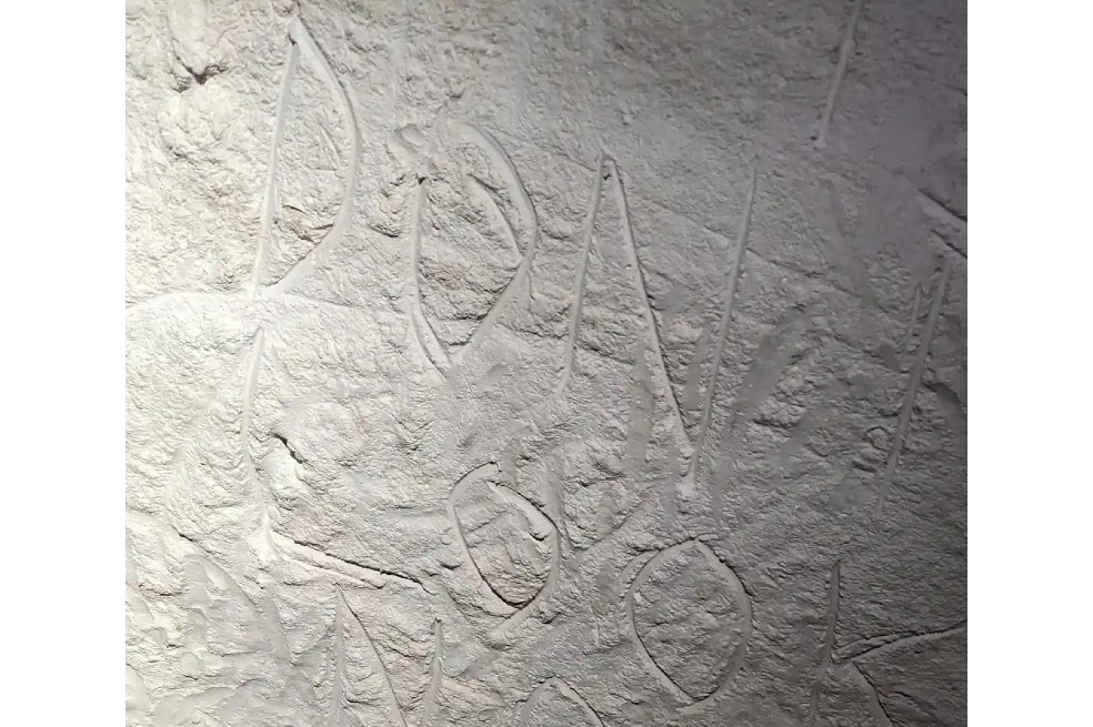 Destruyen dibujos rupestres indígenas de 30.000 años de antigüedad