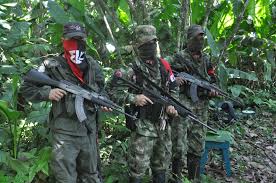Hacia un nuevo cese del fuego con el Eln