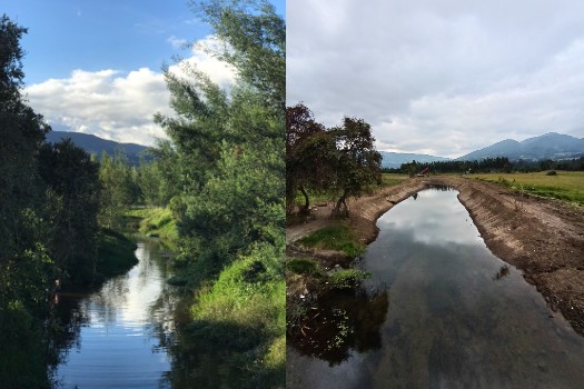 Vecinos de Cogua denuncian que intervención de la CAR destruyó ronda del río Neusa