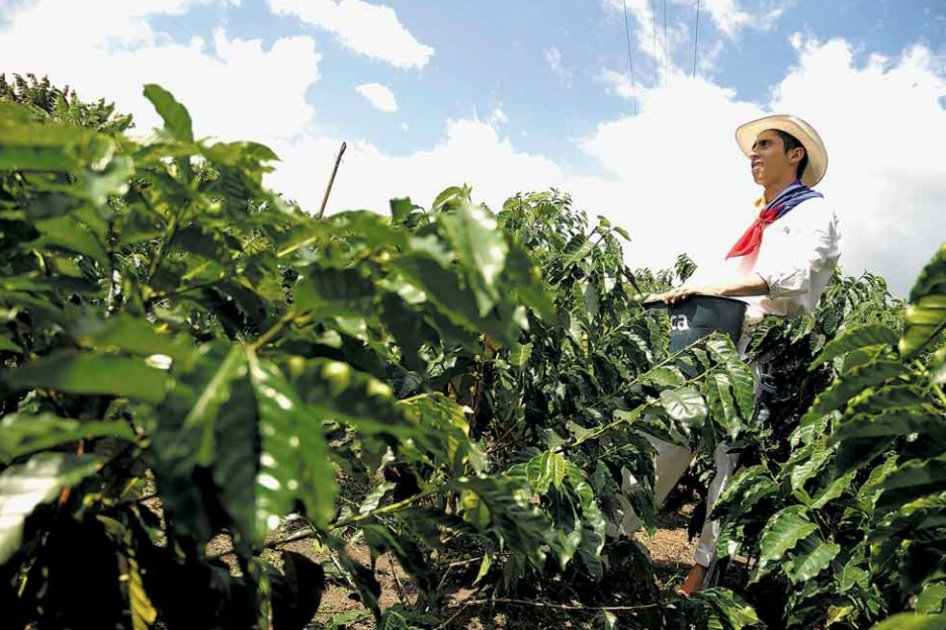 La Ley Zidres será reglamentada en un mes y designará áreas prioritarias para el desarrollo de la agricultura.