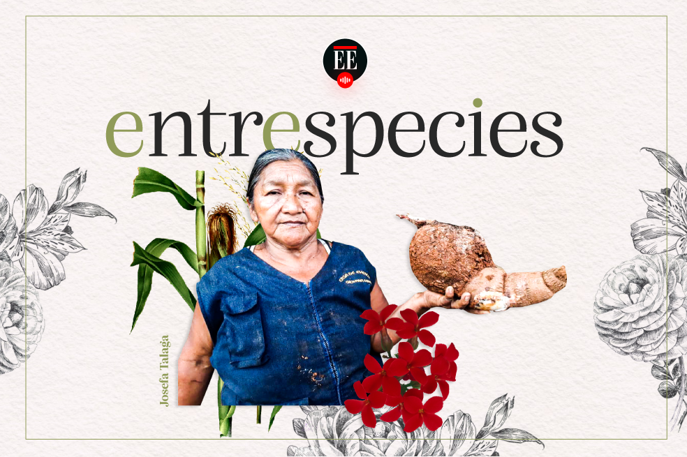 Entrespecies: la mujer que escucha a las plantas