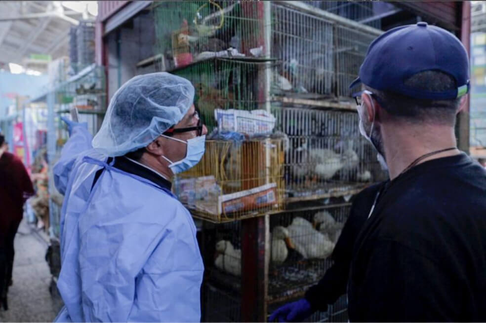 Distrito terminó con la venta de animales vivos en la Plaza del Restrepo