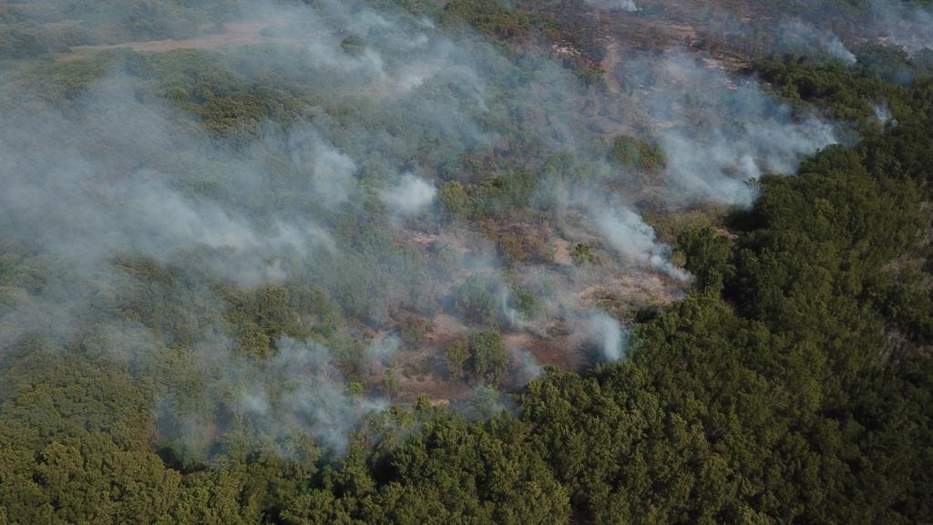 Arde nuevamente el área protegida Vía Parque Isla de Salamanca