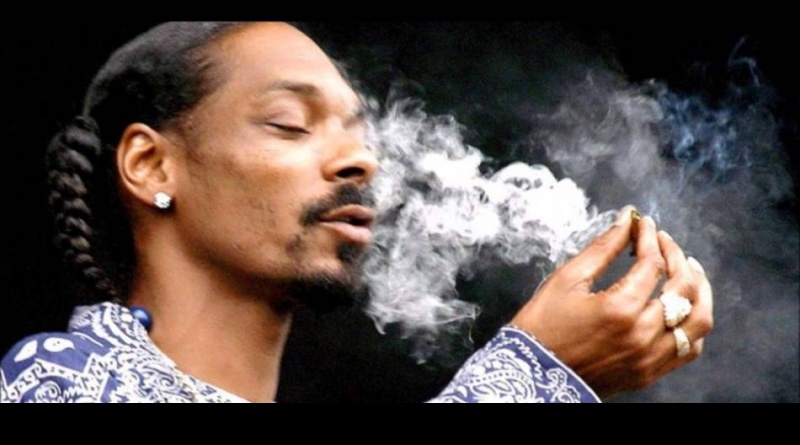 Nueve mitos y verdades de la marihuana