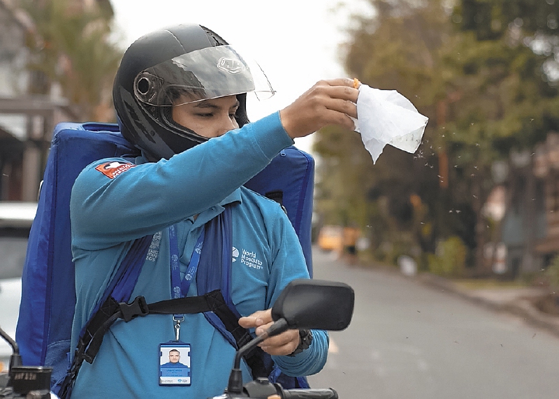 Liberación de mosquitos infectados con wolbachia en Medellín. /Pecet