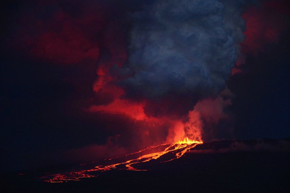 Las iguanas rosadas y otras especies como las tortugas que habitan la isla Isabela, archipiélago ecuatoriano de Galápagos y donde se encuentra el volcán Wolf que hizo erupción, no se verán afectadas debido a la dirección que está tomando el flujo de la lava.  / EFE/ Diego Paredes /Dirección del Parque Nacional Galápagos
