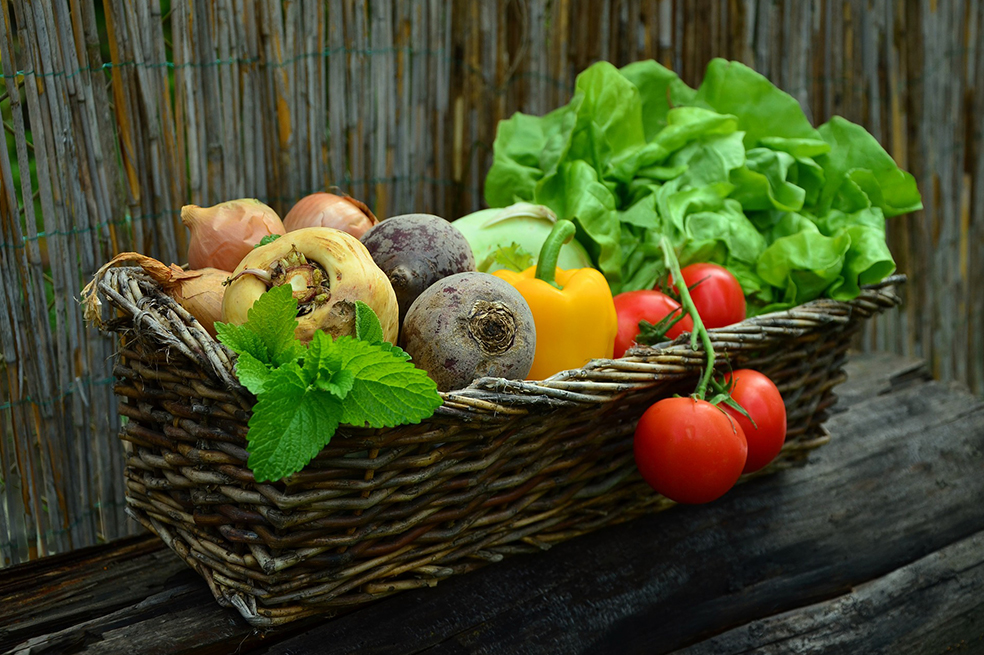 Un 35% de los programas de alimentación escolar no cumplen estándares de calidad