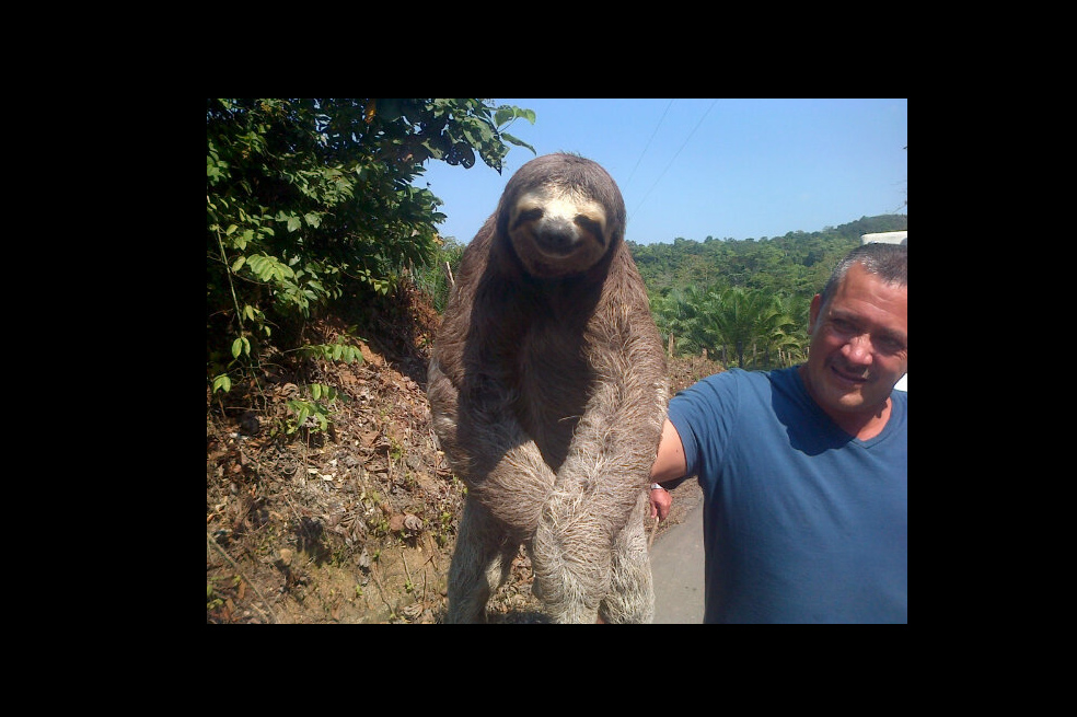 La biodiversidad es protagonista