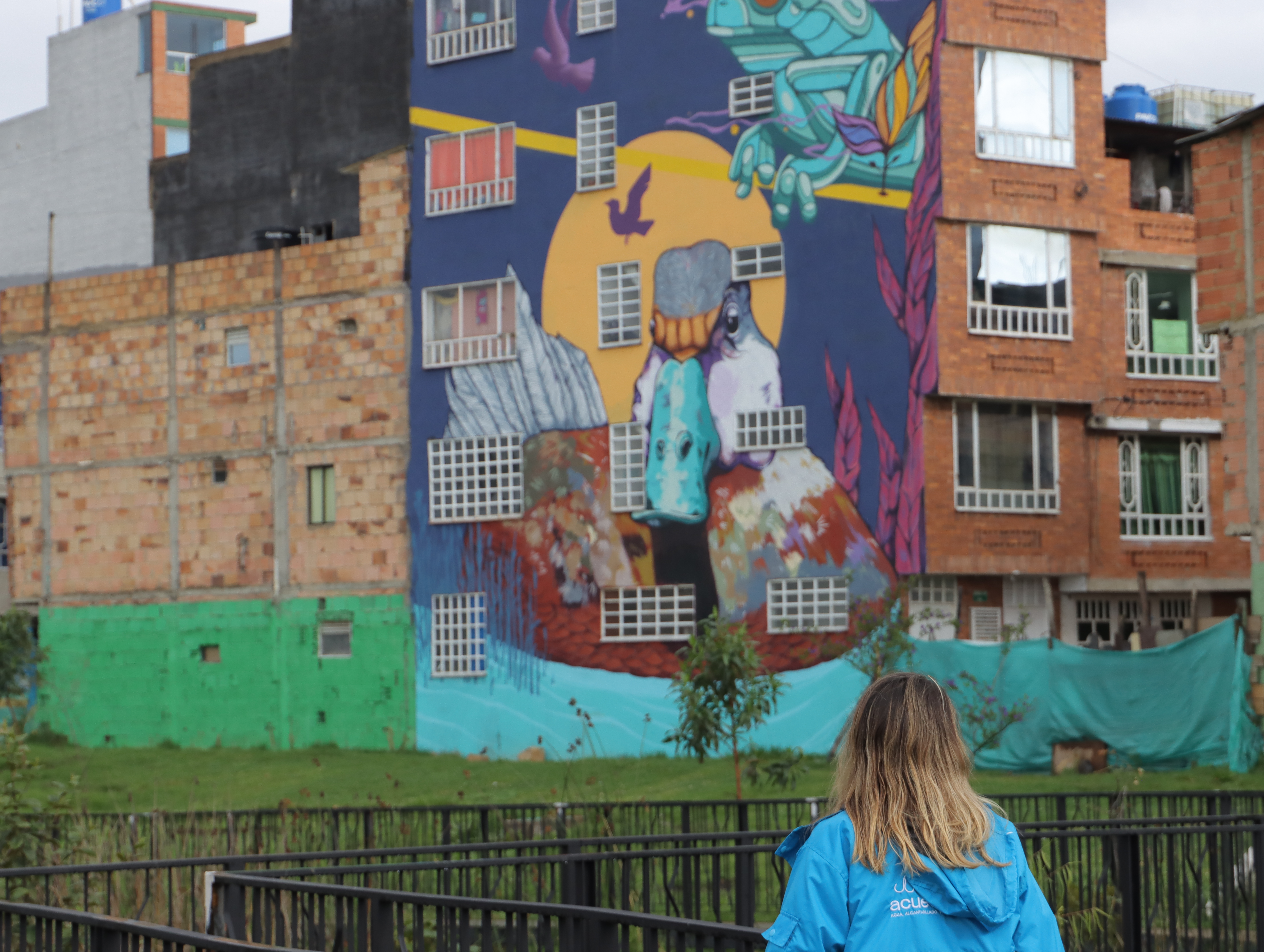 Reverdecen el humedal Jaboque, el proyecto que unió a la EAAB con la comunidad