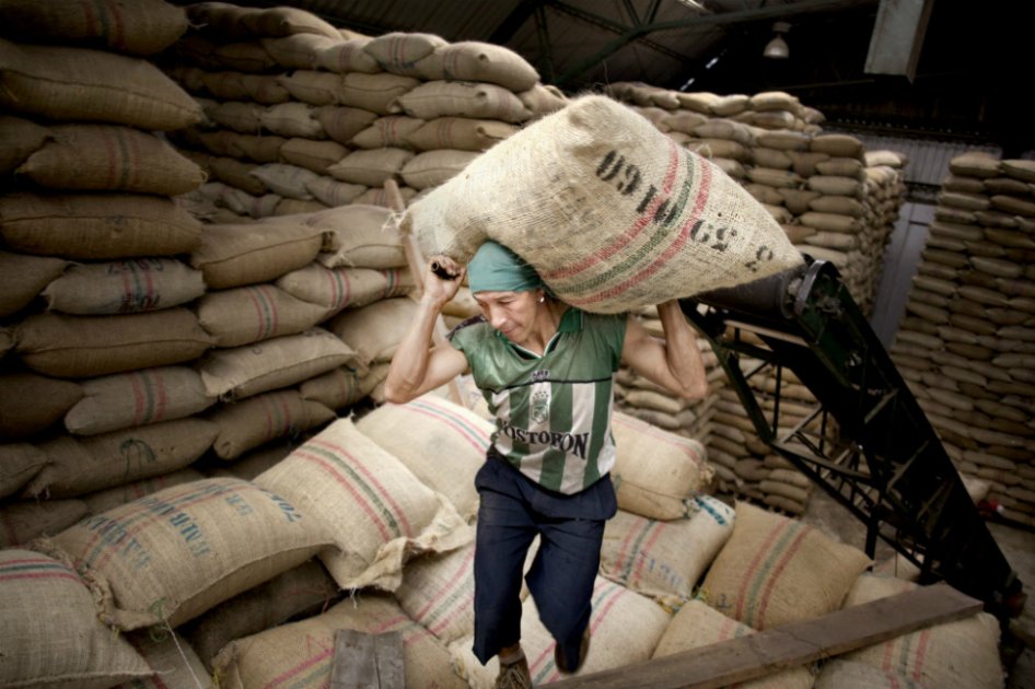 Fondo estabilizador para el café colombiano, está casi listo