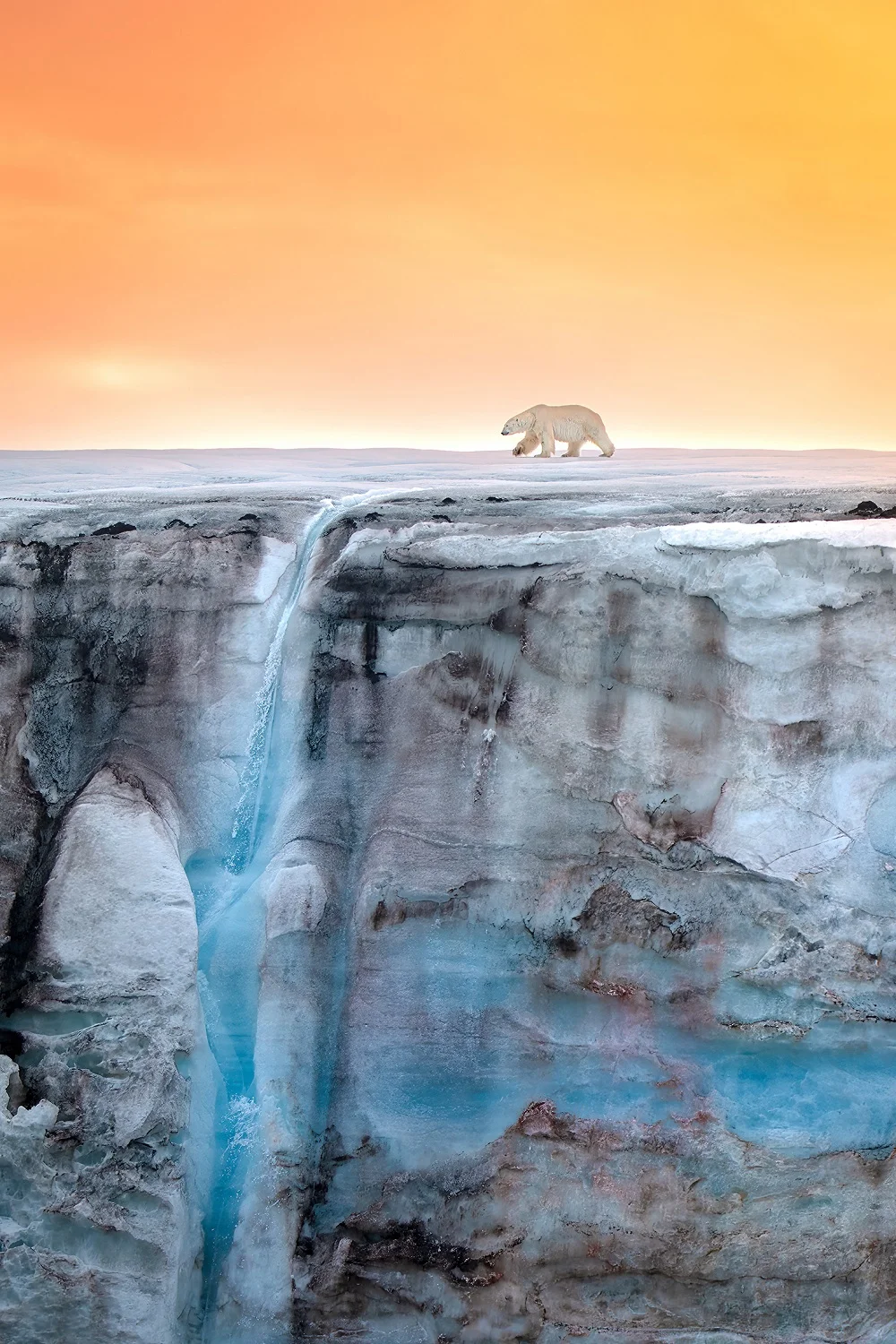 Fotografía ganadora del concurso Fotógrafo oceánico del año 2023.